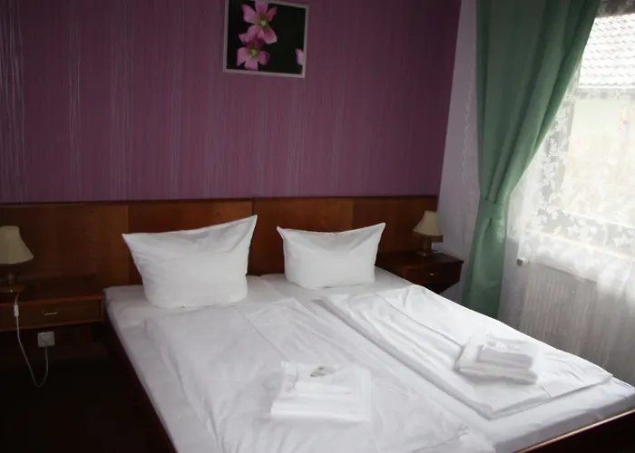 زوم غولدينين ستيرن 3* Leibsch