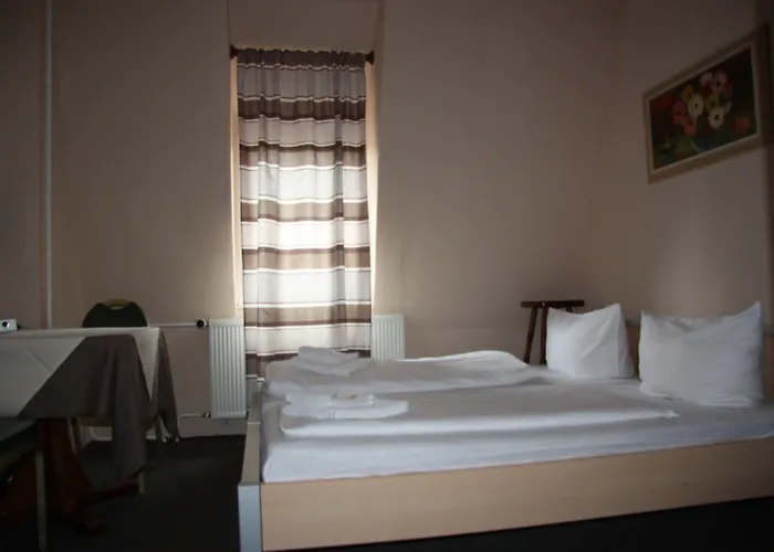 زوم غولدينين ستيرن