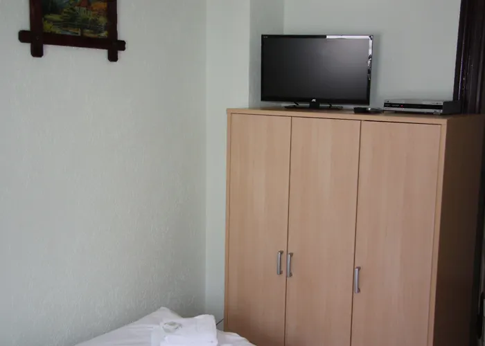 زوم غولدينين ستيرن 3*