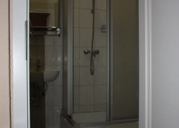 زوم غولدينين ستيرن Leibsch