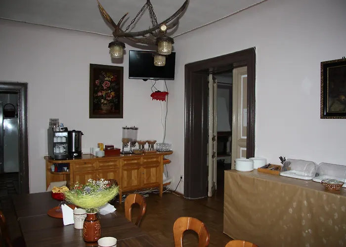 زوم غولدينين ستيرن