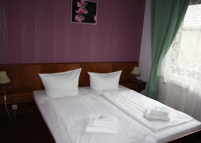 زوم غولدينين ستيرن