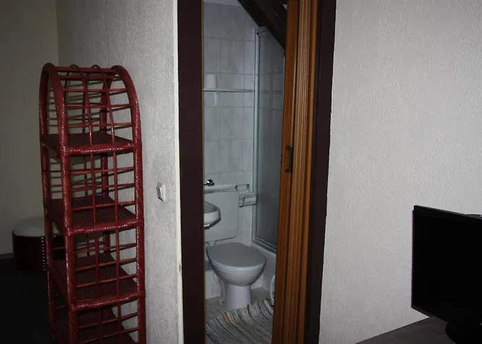 زوم غولدينين ستيرن 3*