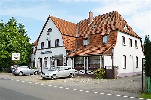 زوم غولدينين ستيرن 3*