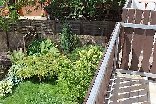 زوم غولدينين ستيرن