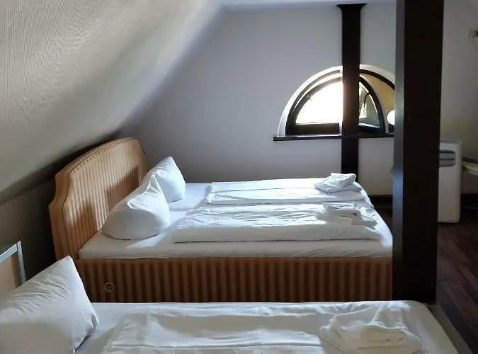 زوم غولدينين ستيرن